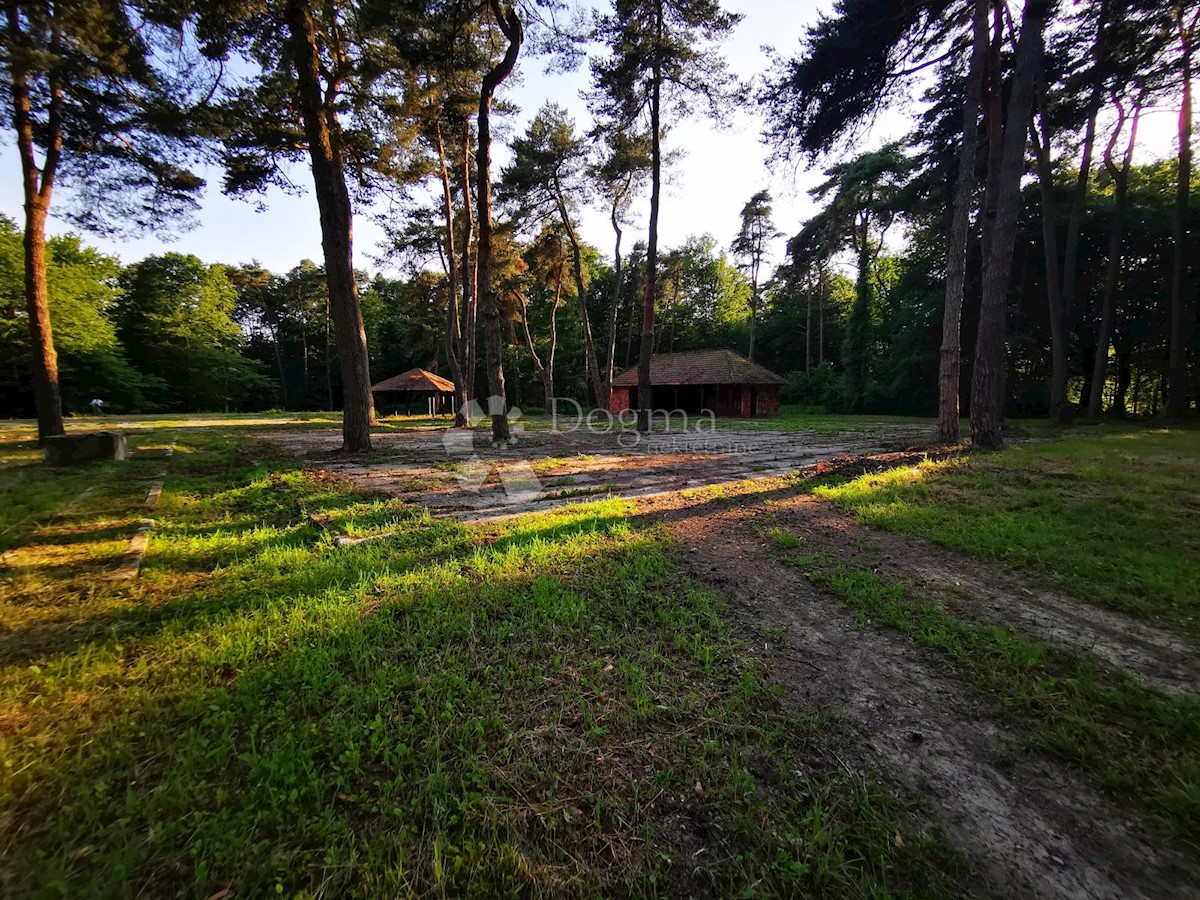 Terreno Mačkovec, Čakovec - Okolica, 55,37m2