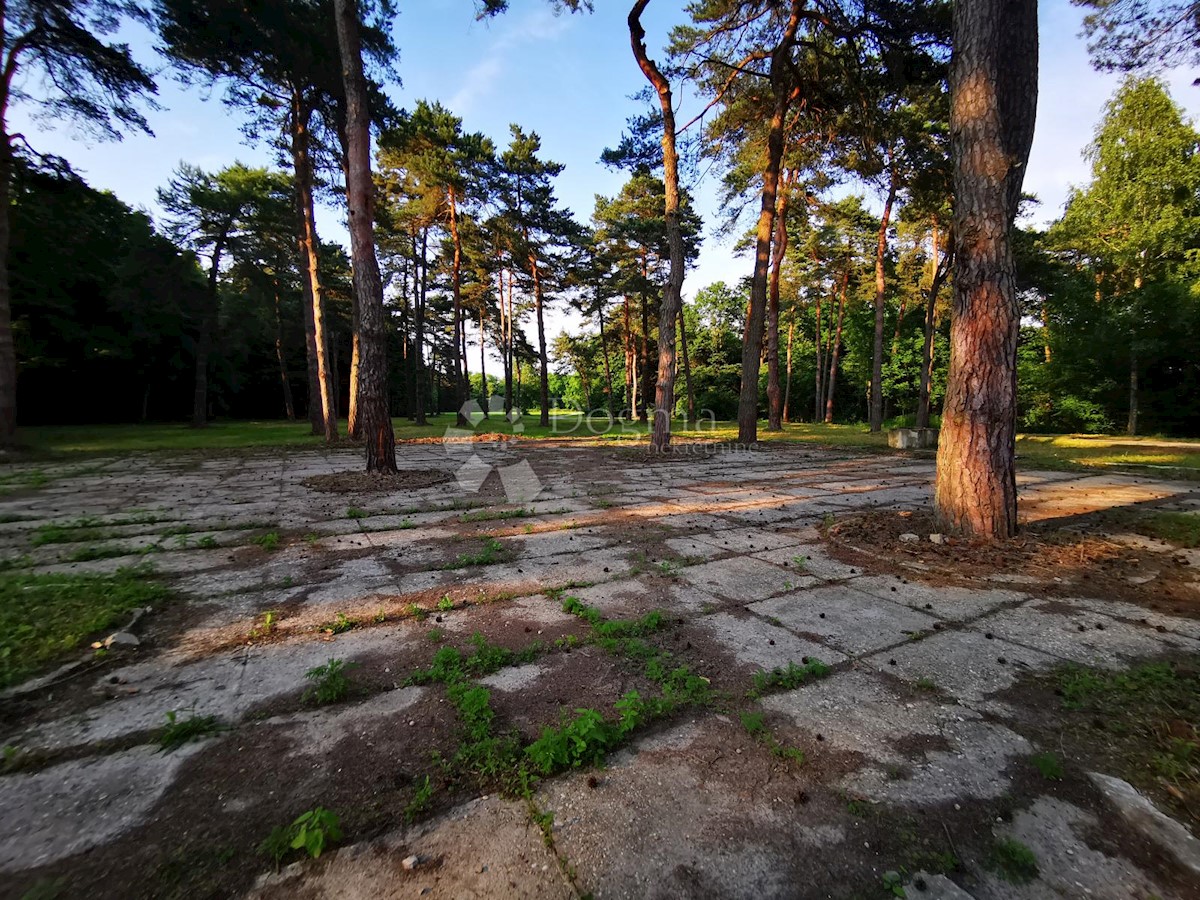 Terreno Mačkovec, Čakovec - Okolica, 55,37m2