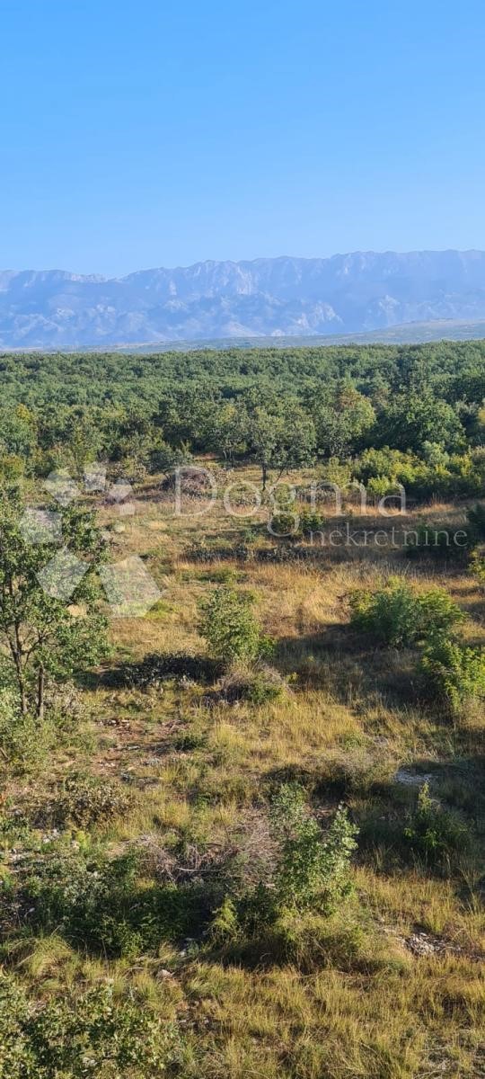 Terreno Lovinac, Poličnik, 2.631m2