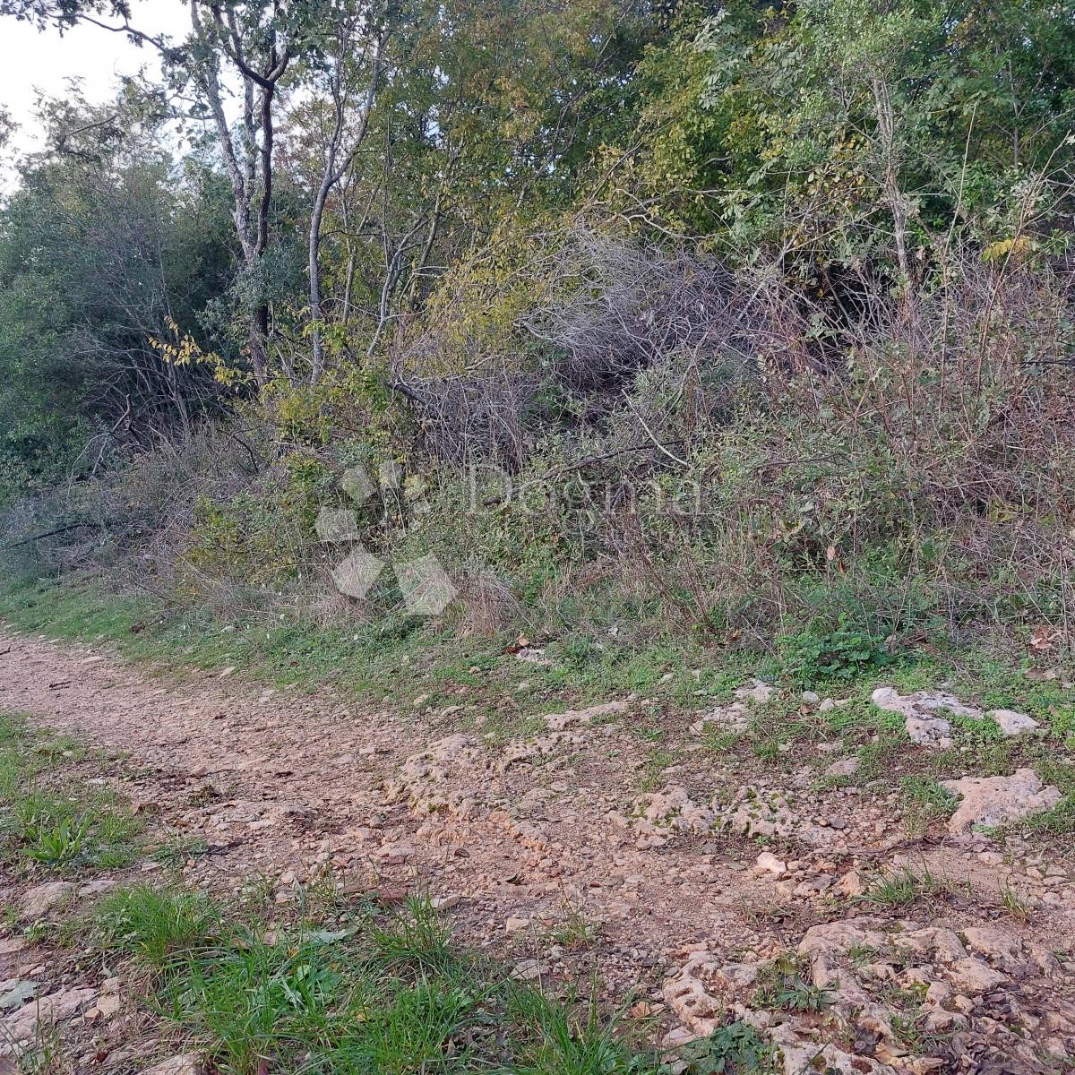 Terreno Kloštar, Sveti Lovreč, 9.500m2