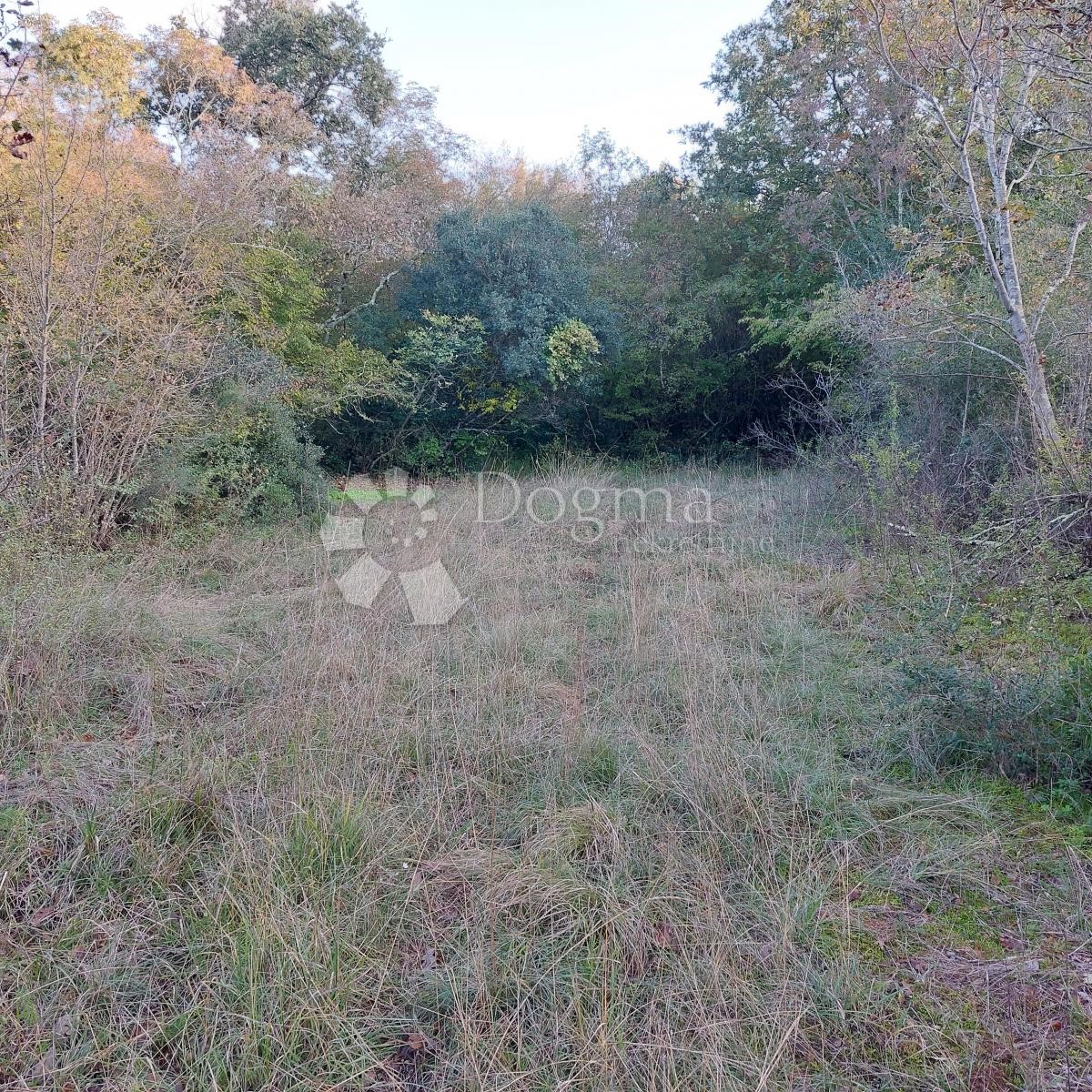 Terreno Kloštar, Sveti Lovreč, 9.500m2
