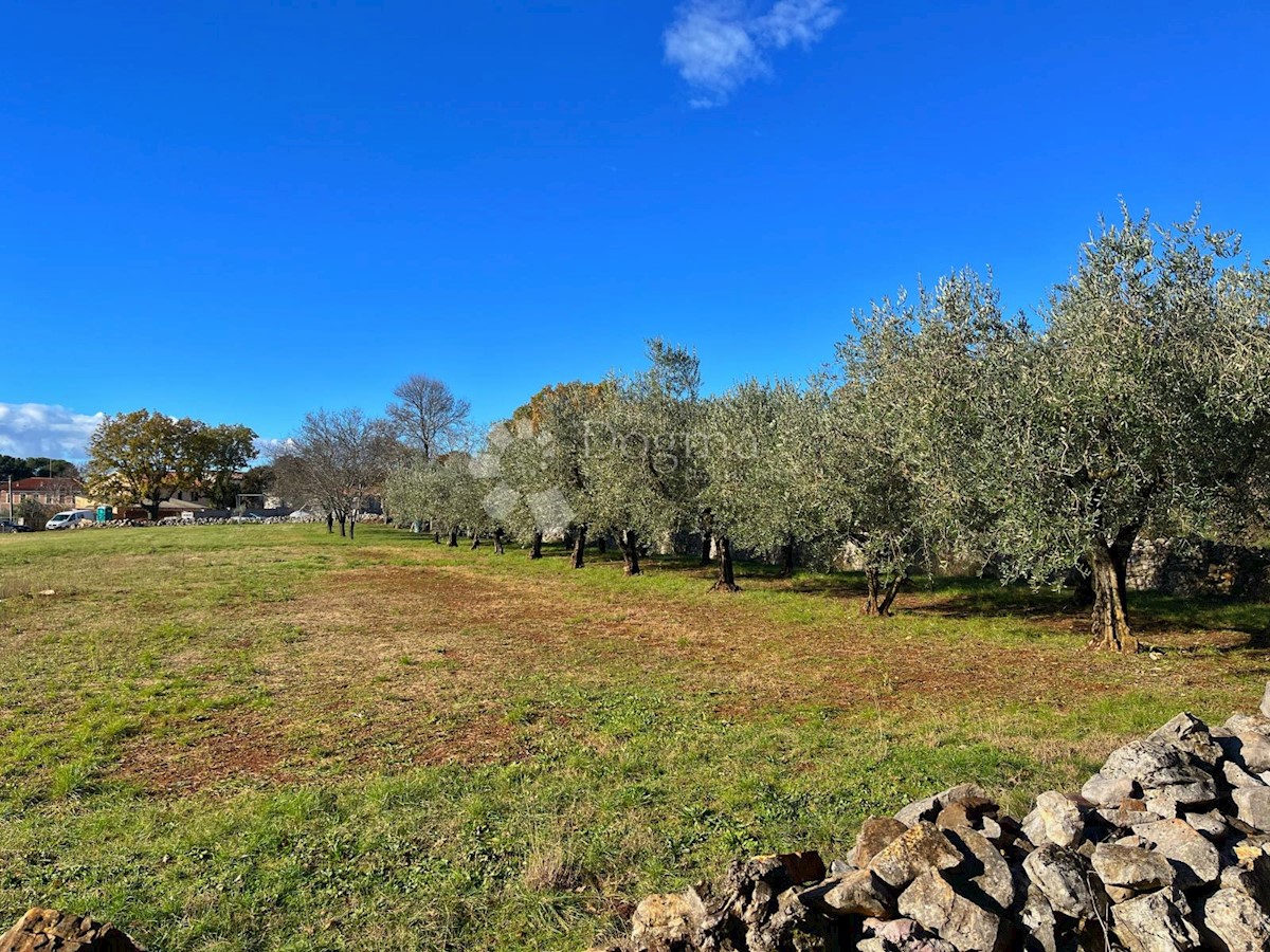 Visignano - terreno edificabile per 2 case