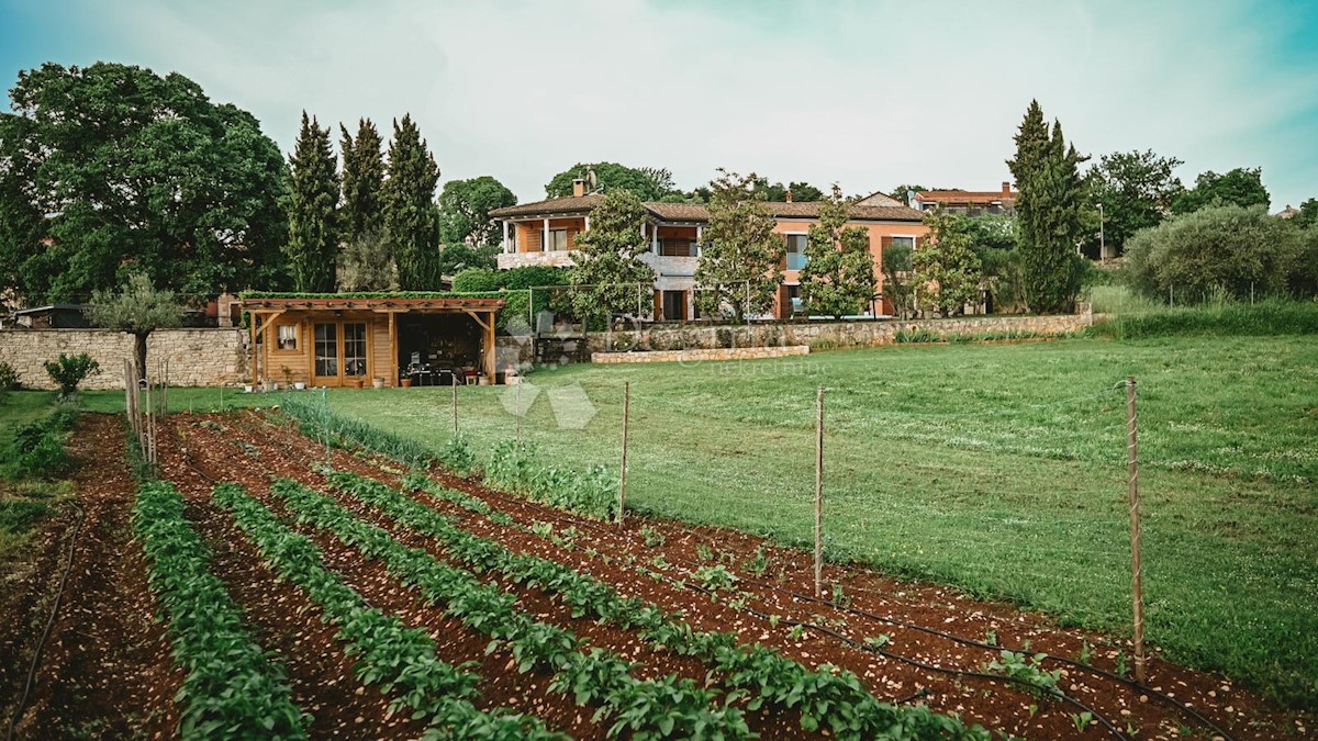 Casa Šorići, Kanfanar, 388m2