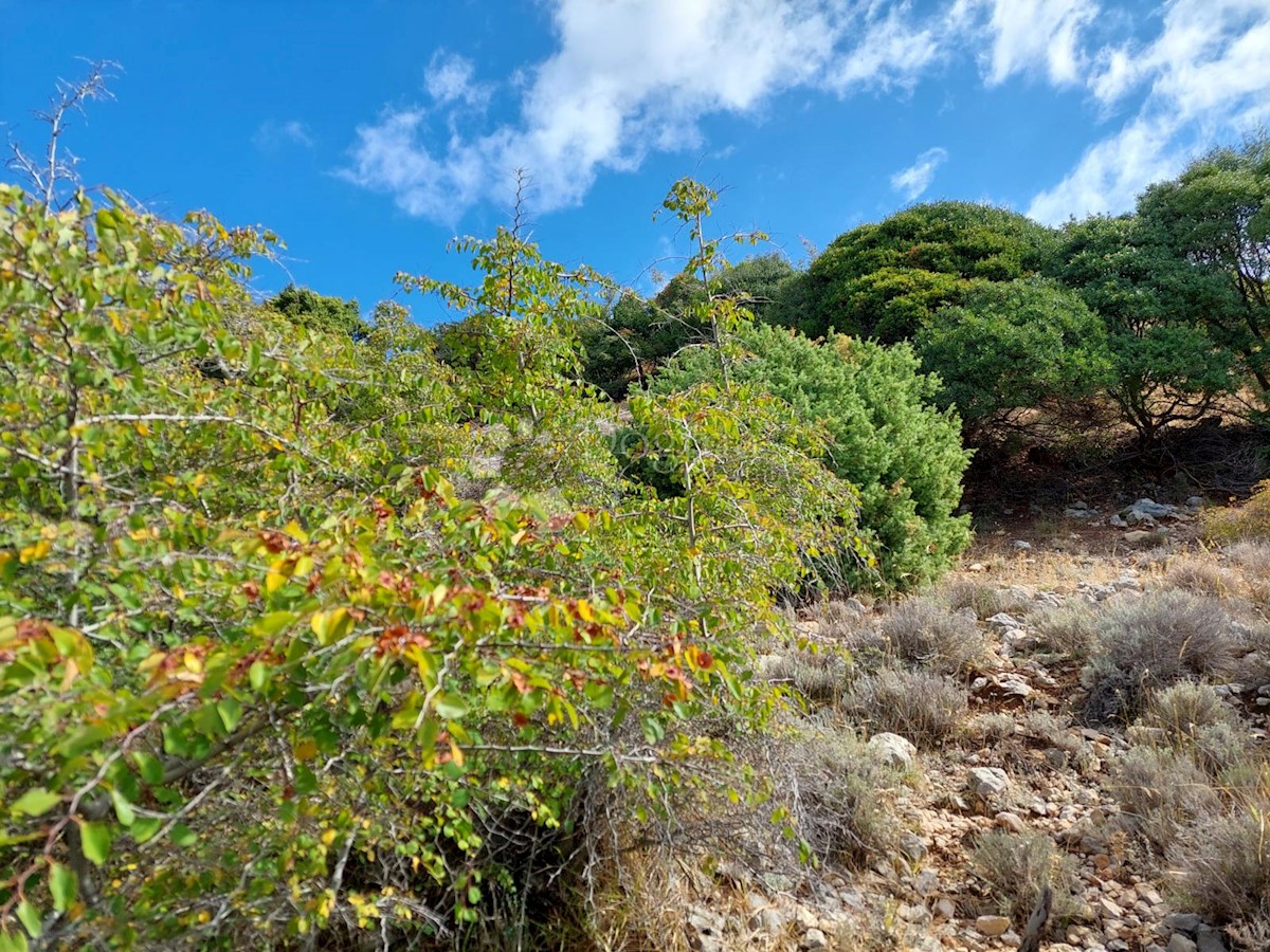 Terreno Mundanije, Rab, 1.482m2