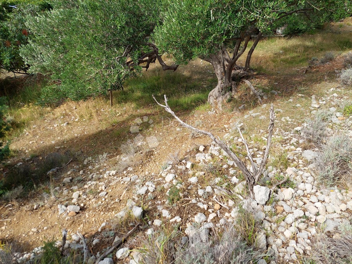 Terreno Mundanije, Rab, 1.482m2