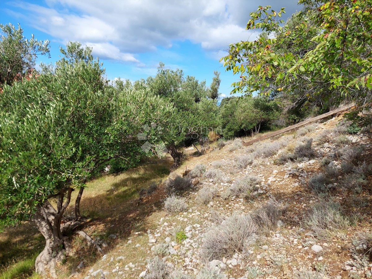 Terreno Mundanije, Rab, 1.482m2