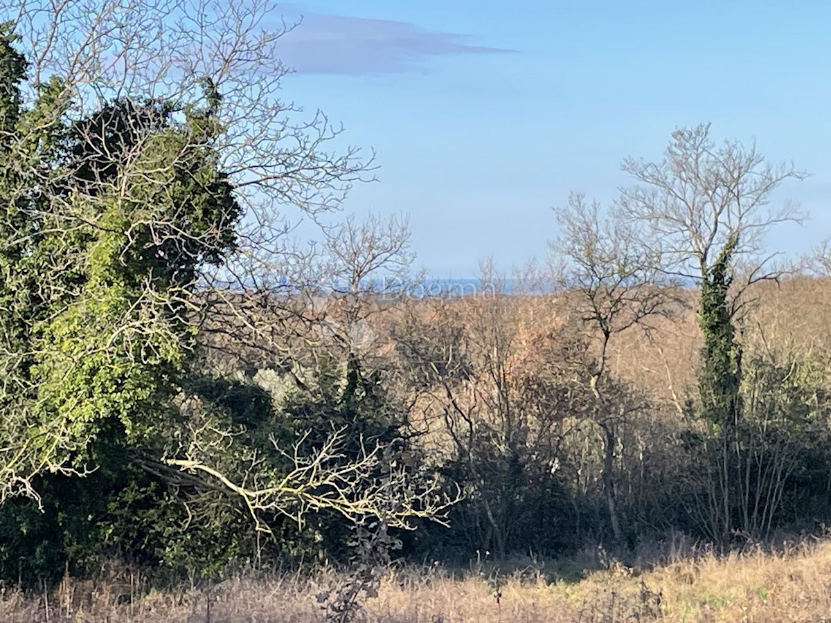 TERRENO EDIFICABILE IN BELLA POSIZIONE, DINTORNI ABITABILI