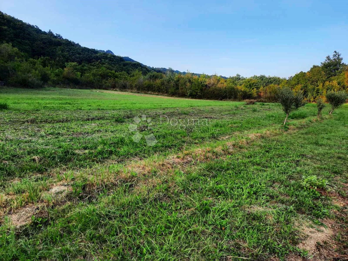 Terreno Ripenda Kras, Labin, 13.690m2