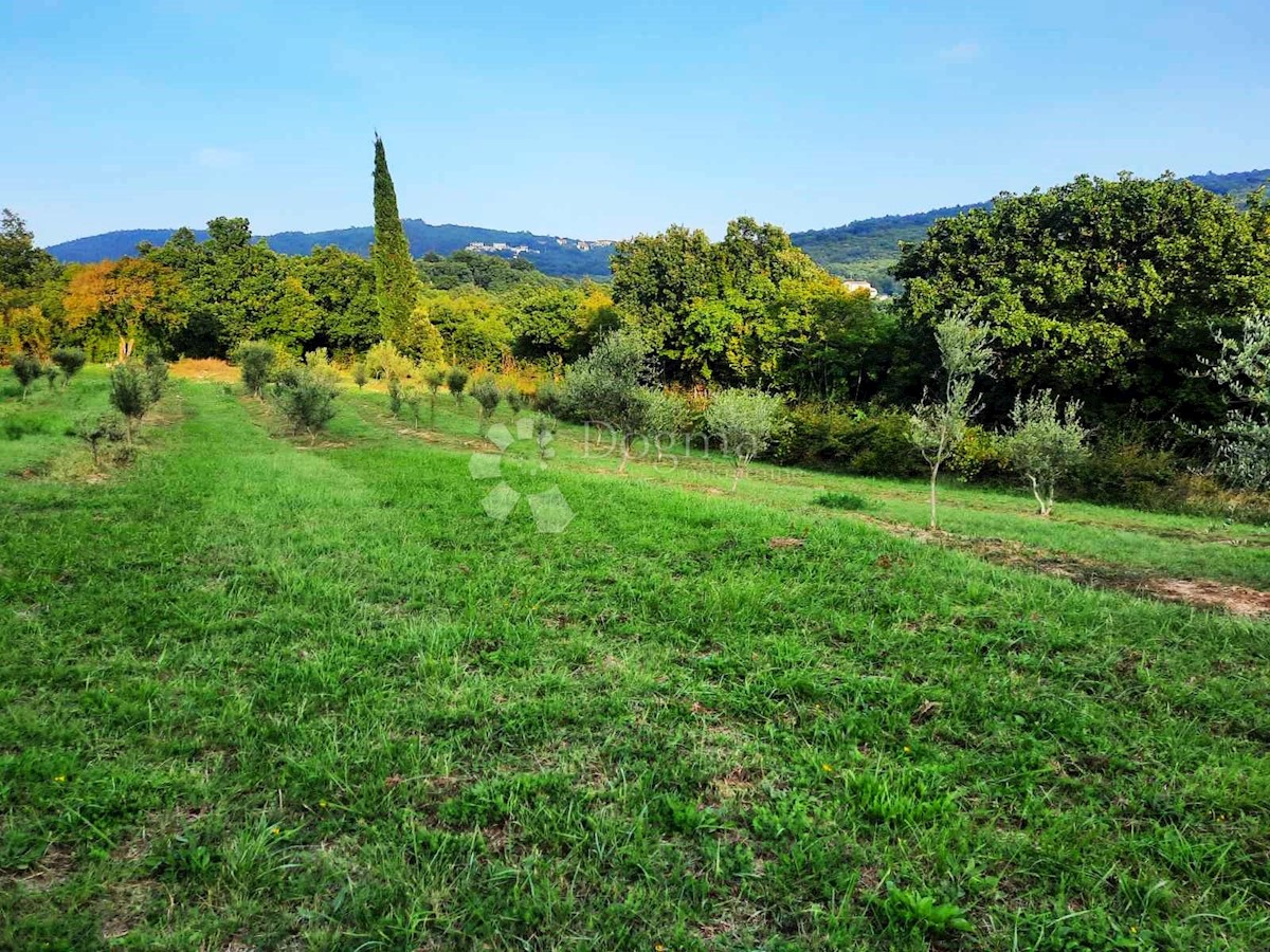 Terreno Ripenda Kras, Labin, 13.690m2