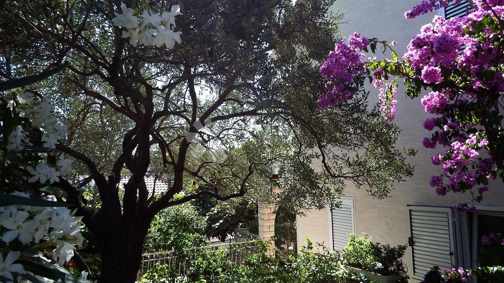 Casa Okrug Gornji, Okrug, 135m2