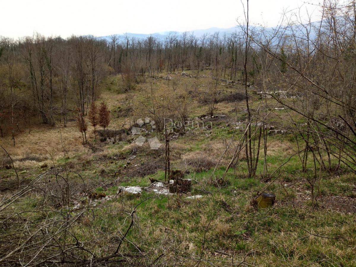 Terreno Permani, Matulji, 3.262m2