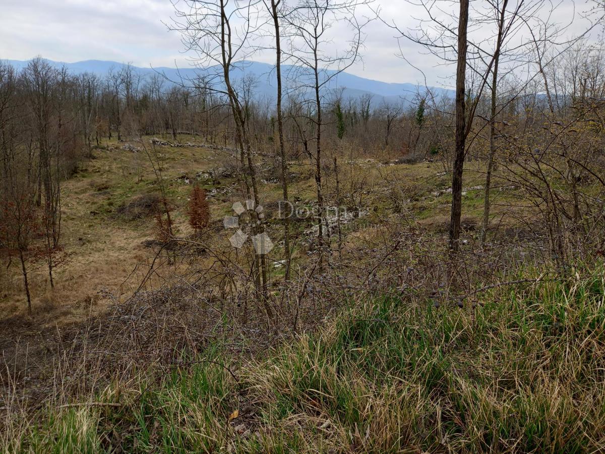 Terreno Permani, Matulji, 3.262m2