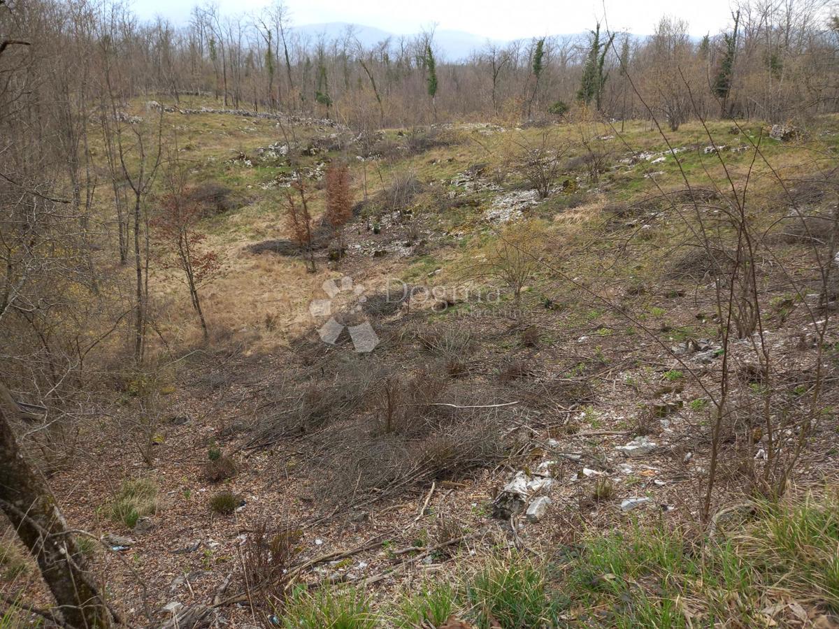 Terreno Permani, Matulji, 3.262m2