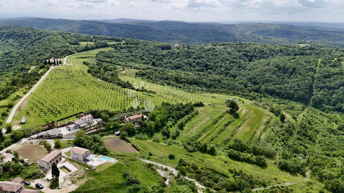 Casa Momjan, Buje, 200m2