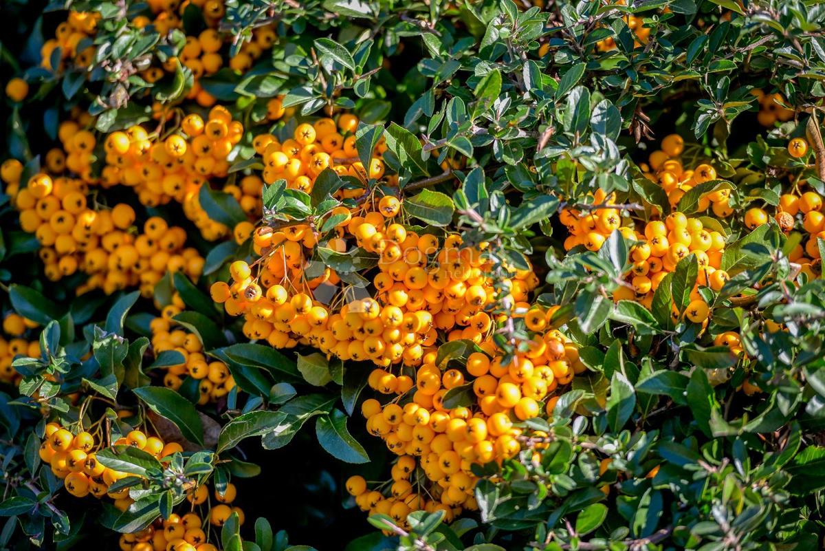 Casa Radovan, Ivanec, 92m2