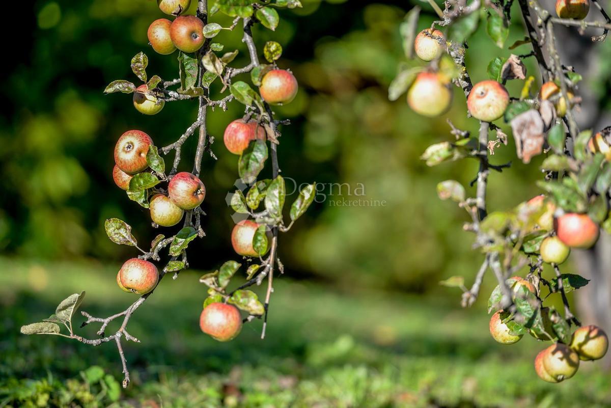 Casa Radovan, Ivanec, 92m2