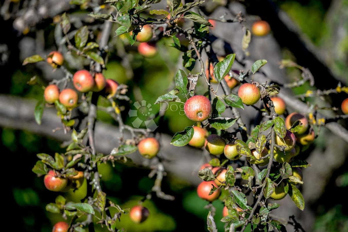 Casa Radovan, Ivanec, 92m2