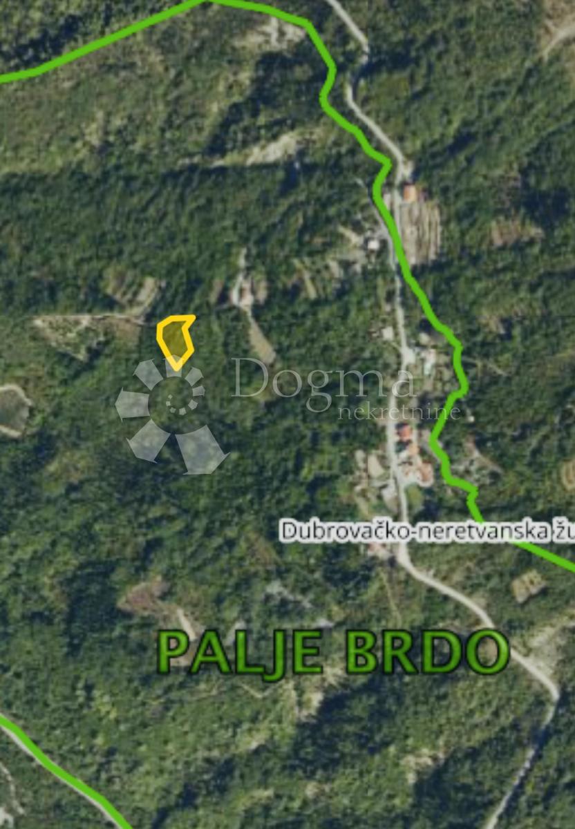 Terreno Palje Brdo, Konavle, 11.700m2