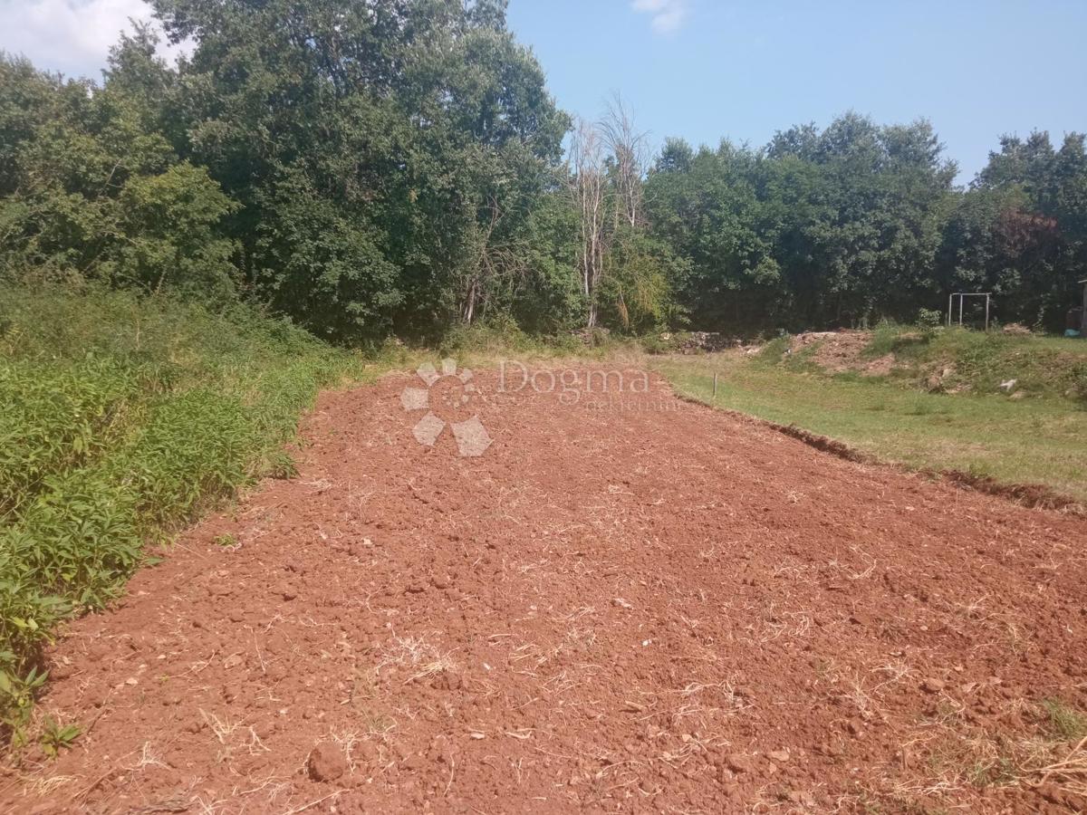 Terreno Žminj, 1.324m2