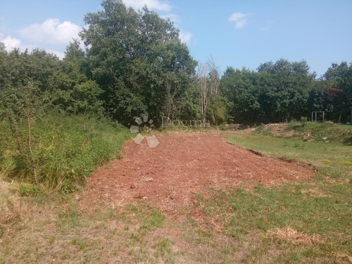 Terreno Žminj, 1.324m2