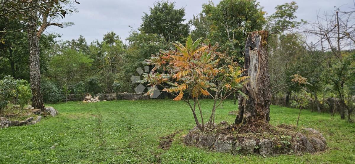 Ekskluzivno Kuća na osami, okružena šumom