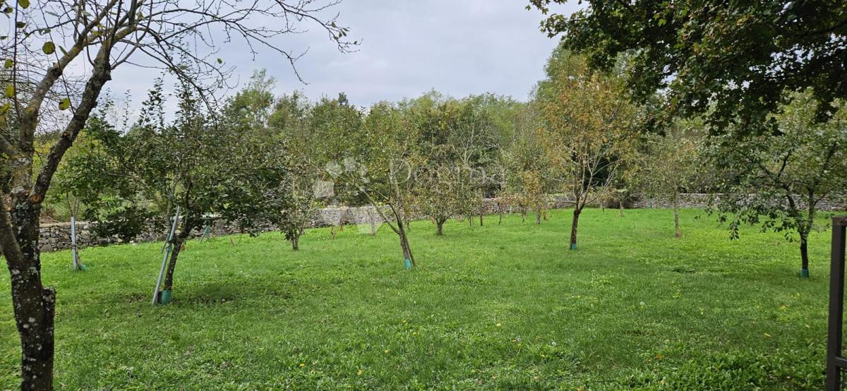 Ekskluzivno Kuća na osami, okružena šumom