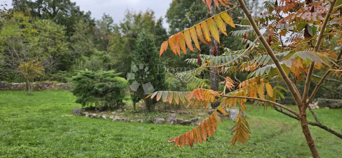 Ekskluzivno Kuća na osami, okružena šumom