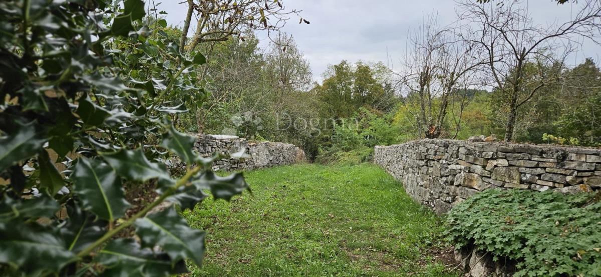 Ekskluzivno Kuća na osami, okružena šumom