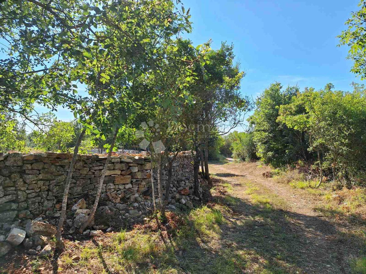 Terreno Agricolo a 450 Metri dalla Spiaggia