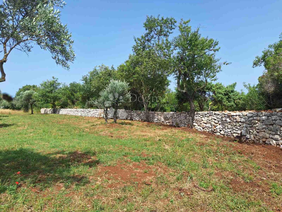 Terreno Agricolo a 450 Metri dalla Spiaggia