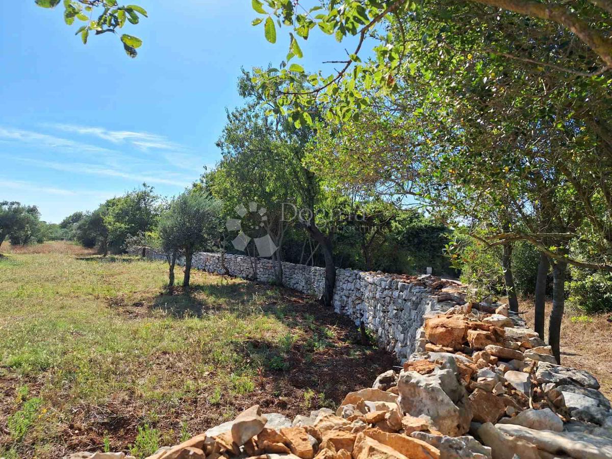 Terreno Agricolo a 450 Metri dalla Spiaggia