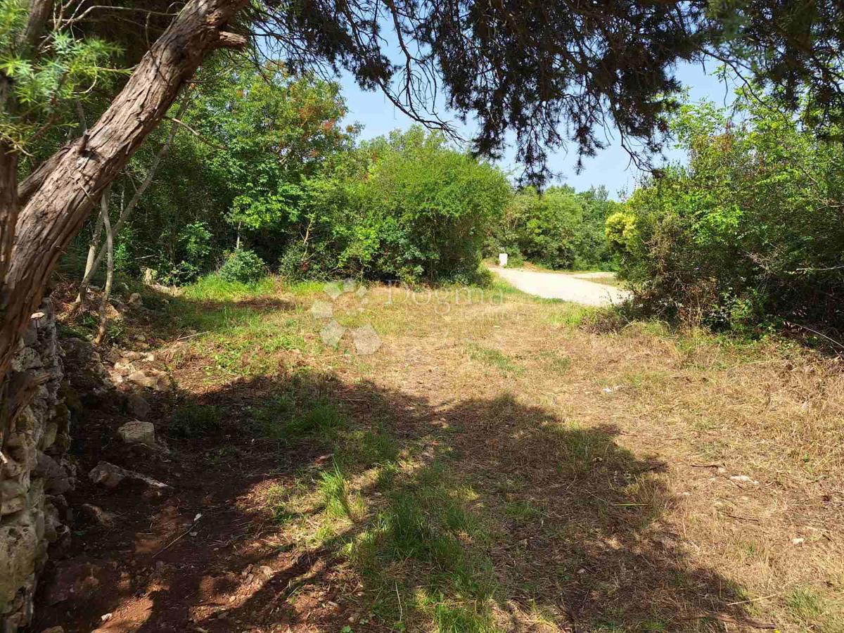 Terreno Agricolo a 450 Metri dalla Spiaggia