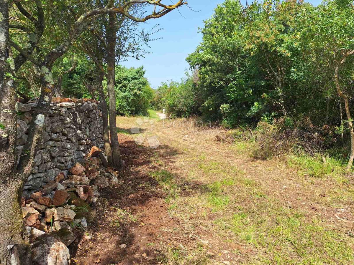 Terreno Agricolo a 450 Metri dalla Spiaggia