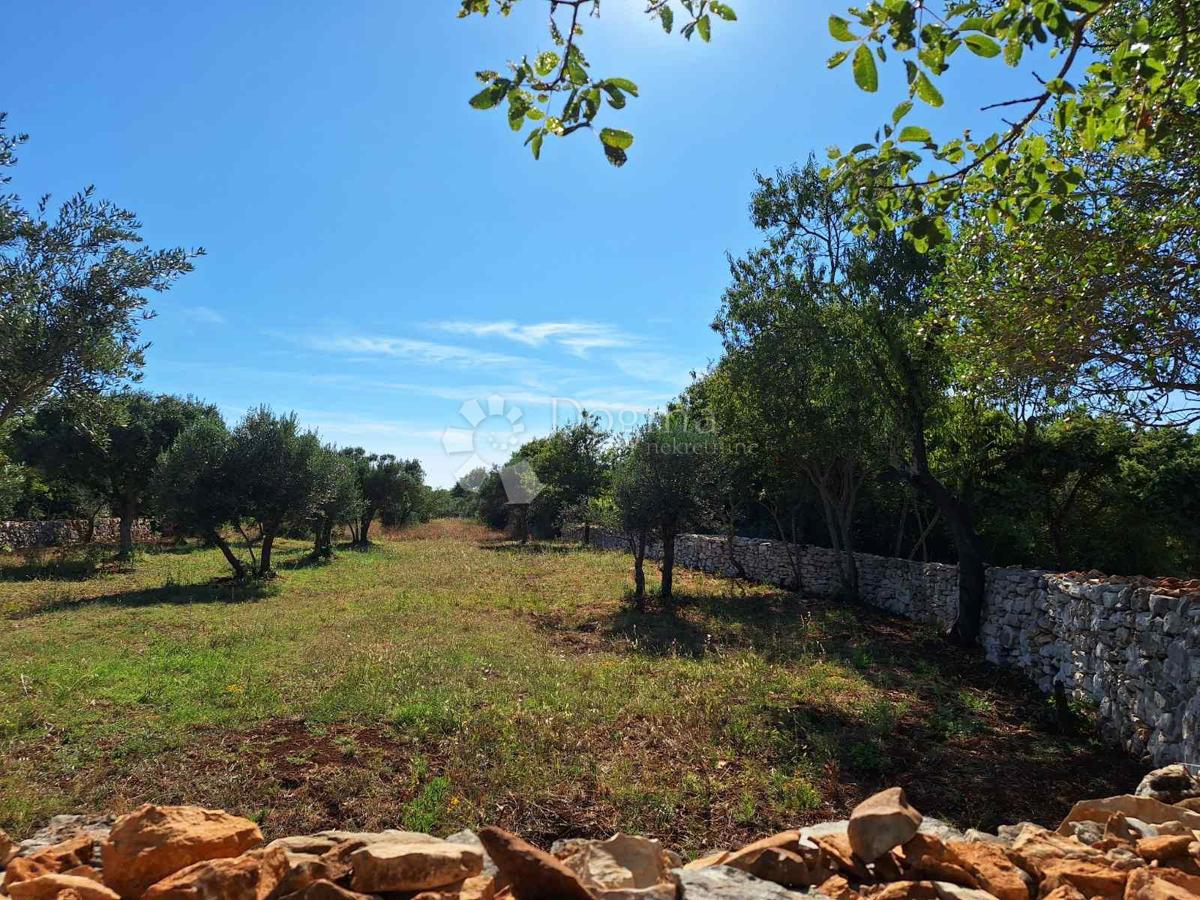 Terreno Agricolo a 450 Metri dalla Spiaggia