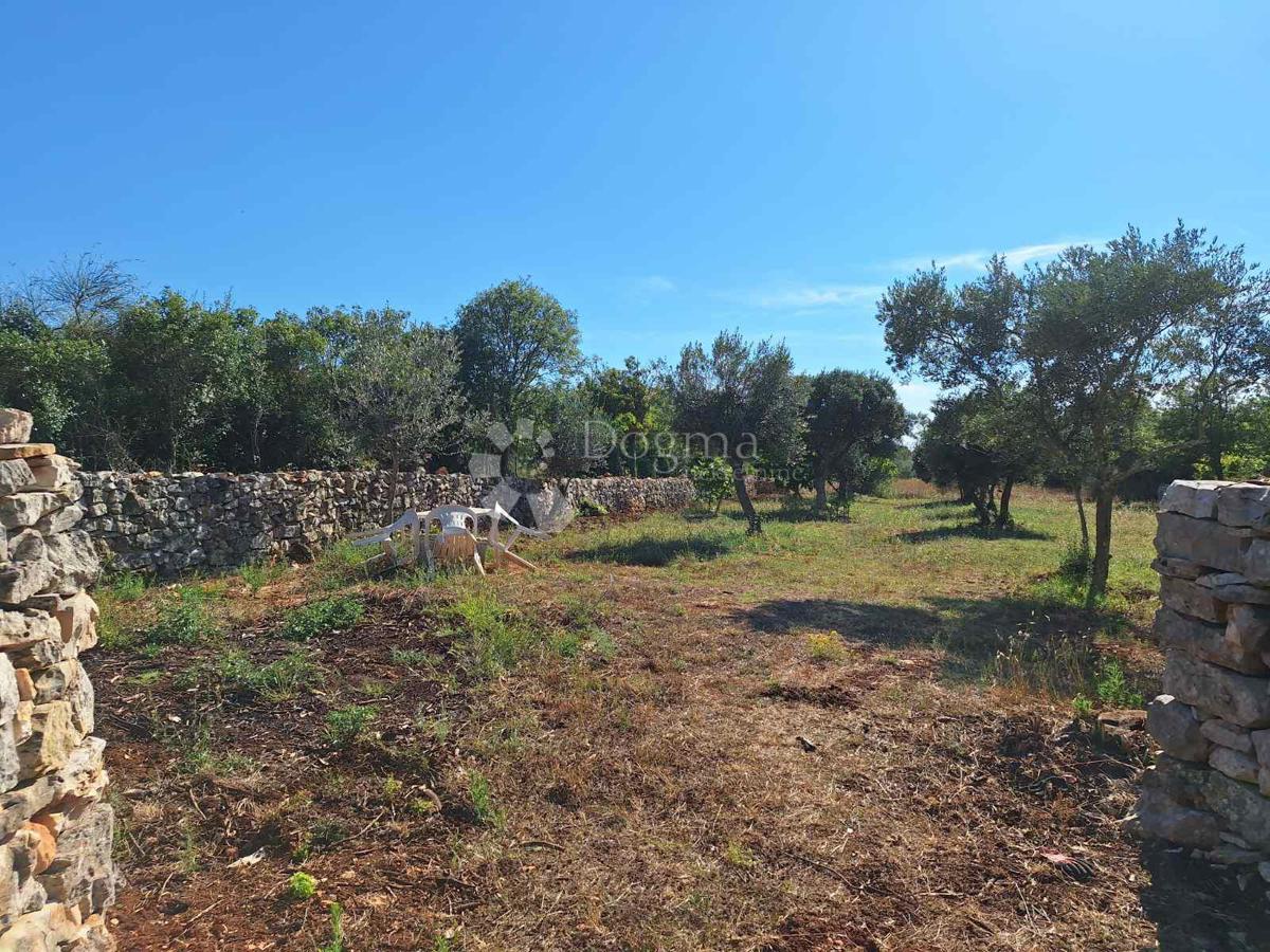Terreno Agricolo a 450 Metri dalla Spiaggia
