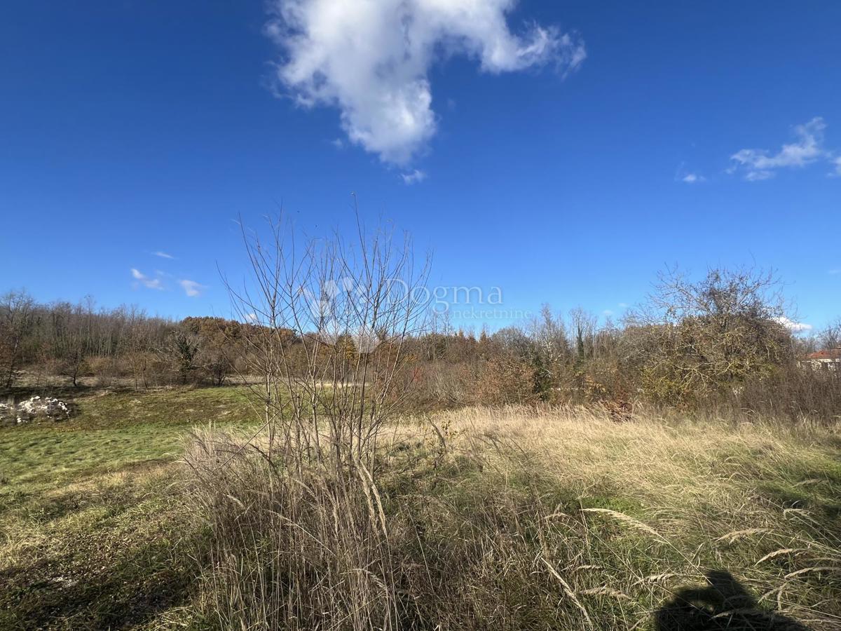 TERRENO EDIFICABILE CON PROGETTO