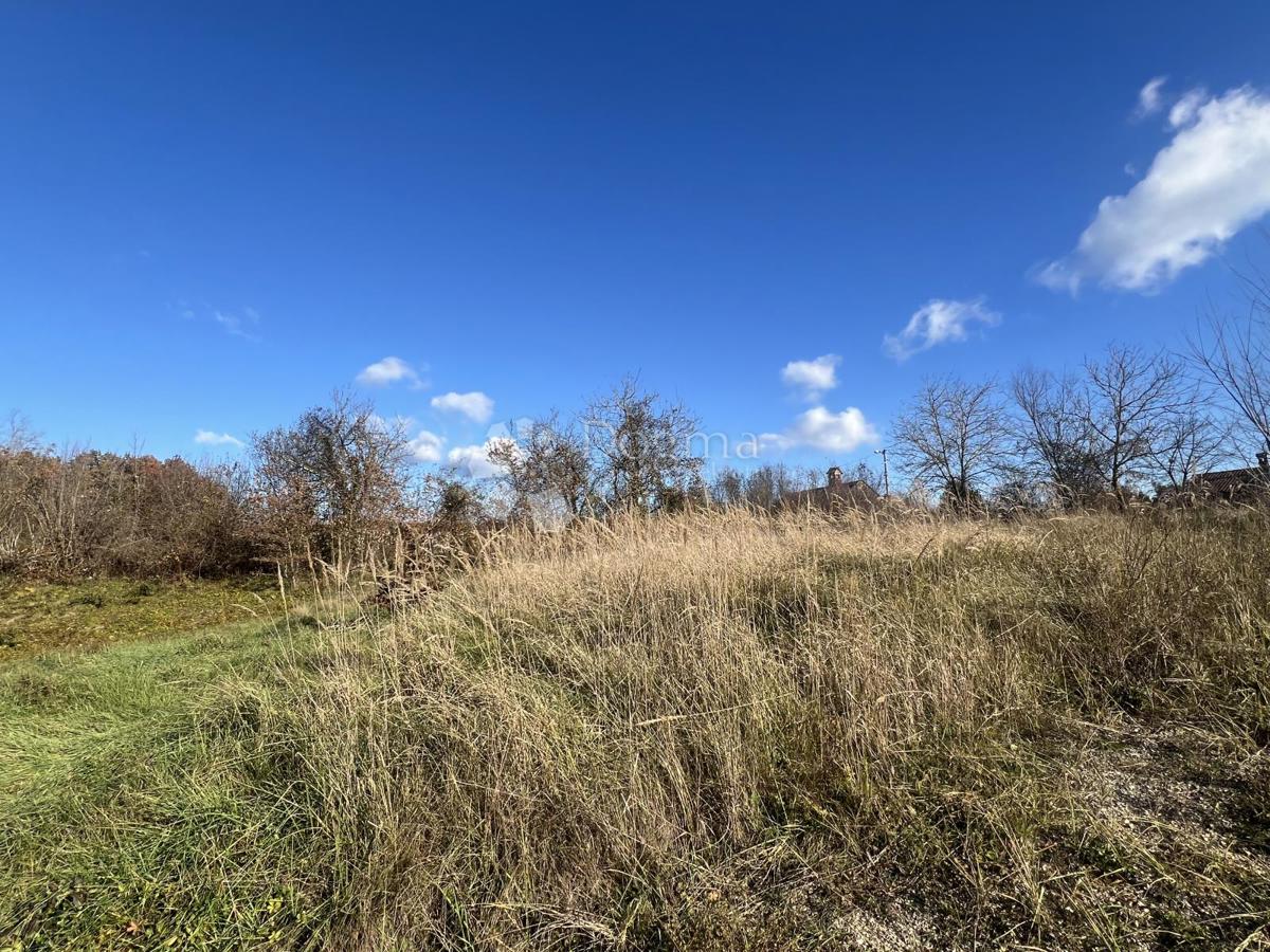 TERRENO EDIFICABILE CON PROGETTO