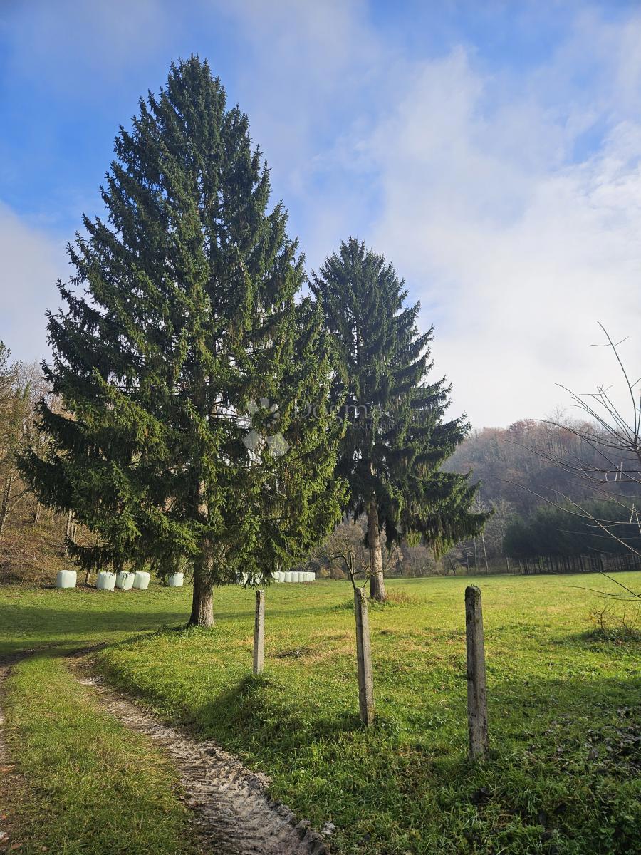 Terreno Medven Draga, Krašić, 18.317m2