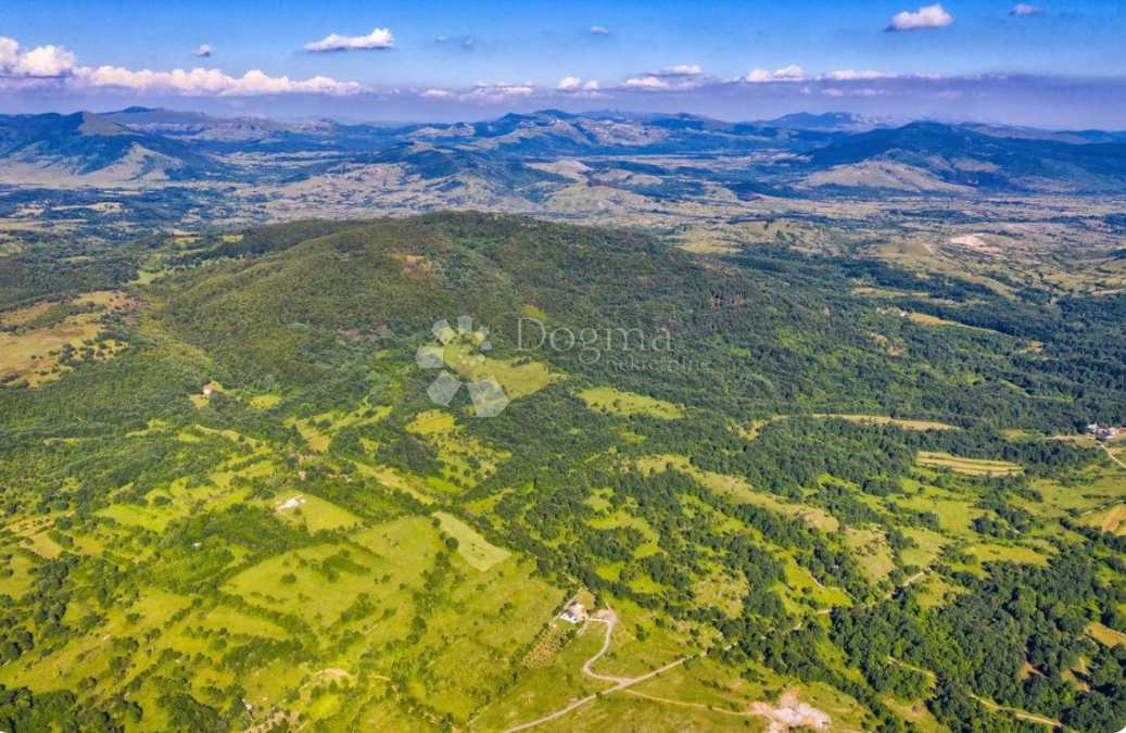 Terreno Rudopolje Bruvanjsko, Gračac, 35.000m2