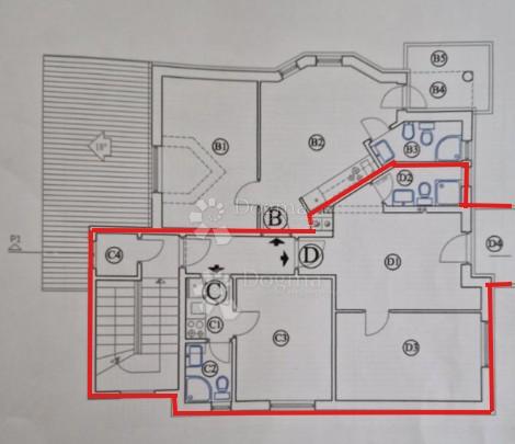 Opportunità: 2 appartamenti comunicanti a Štinjan