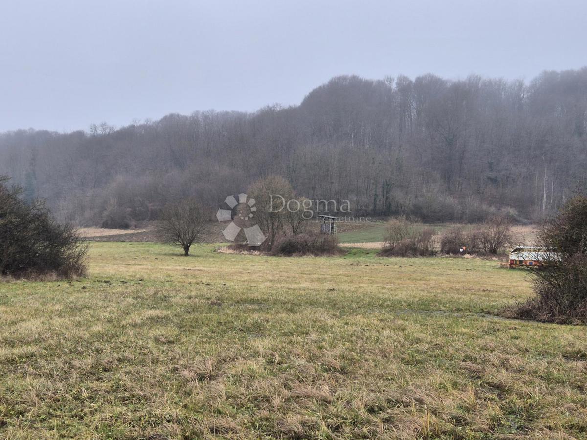 Terreno edificabile Donja Pačetina, Sveti Križ Začretje, 9.711m2