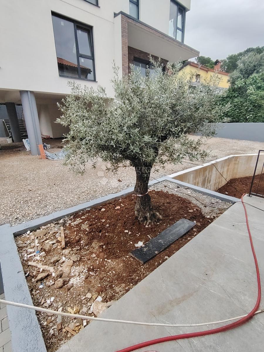 Allogio Pavlovac, Matulji, 144,50m2