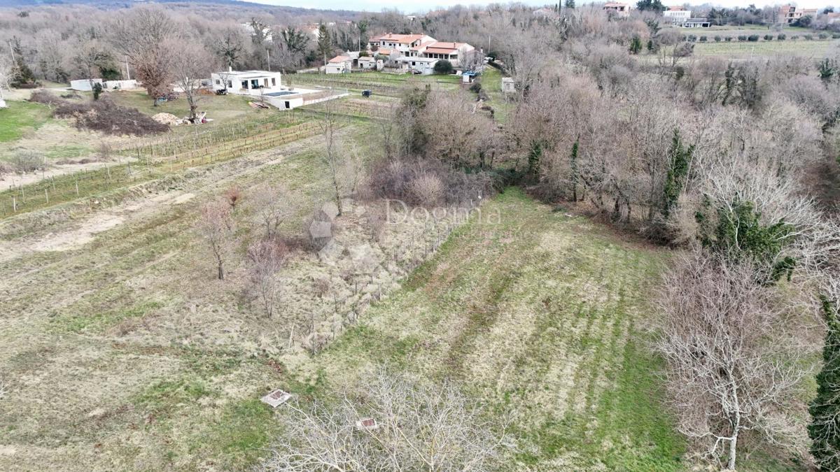 ESCLUSIVO! Terreno edificabile ad Albona!