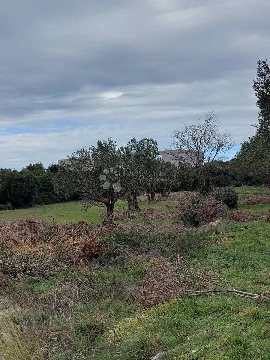 Terreno edificabile Turanj, Sveti Filip I Jakov, 1.176m2