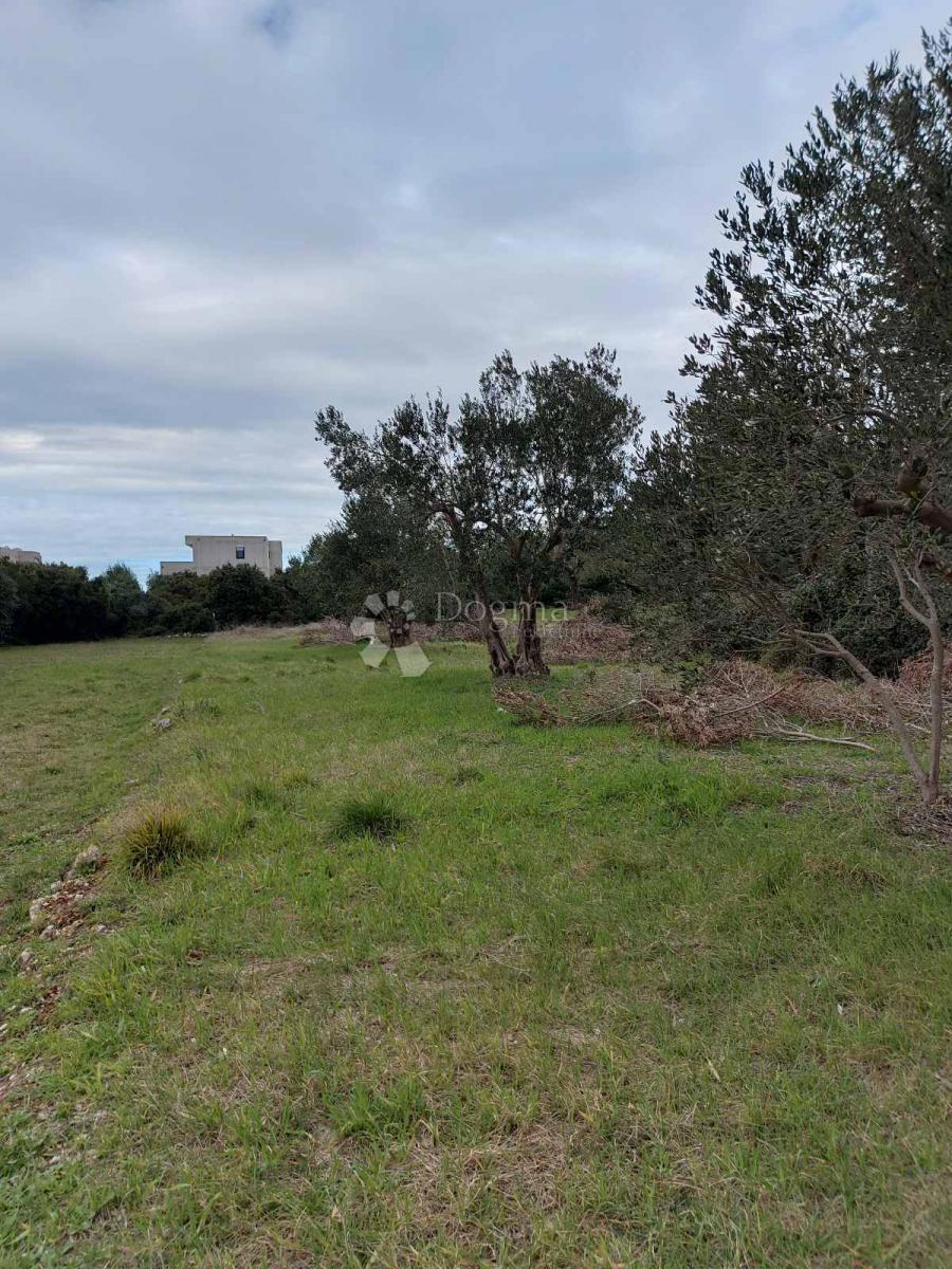 Terreno edificabile Turanj, Sveti Filip I Jakov, 1.176m2