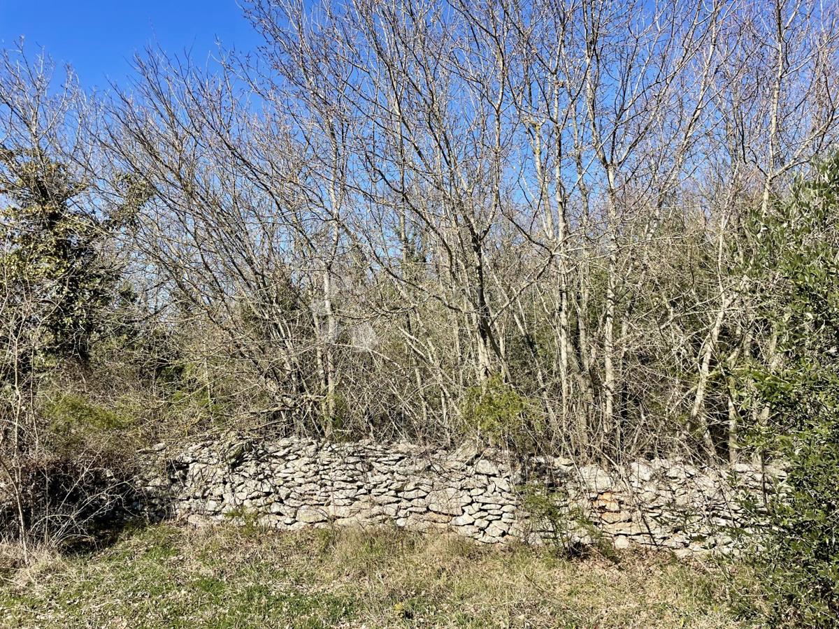 Terreno agricolo Juršići, Svetvinčenat, 6.672m2