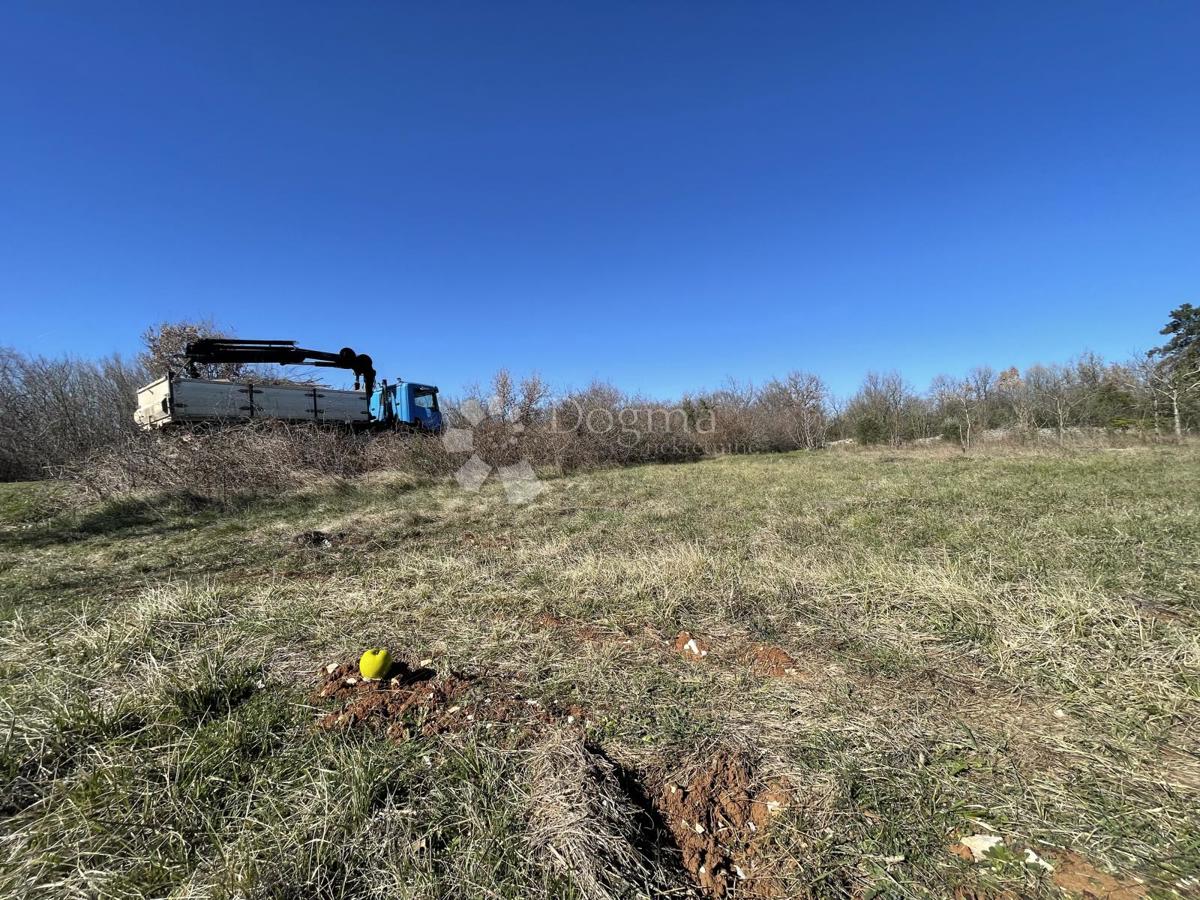 Terreno agricolo Juršići, Svetvinčenat, 6.672m2