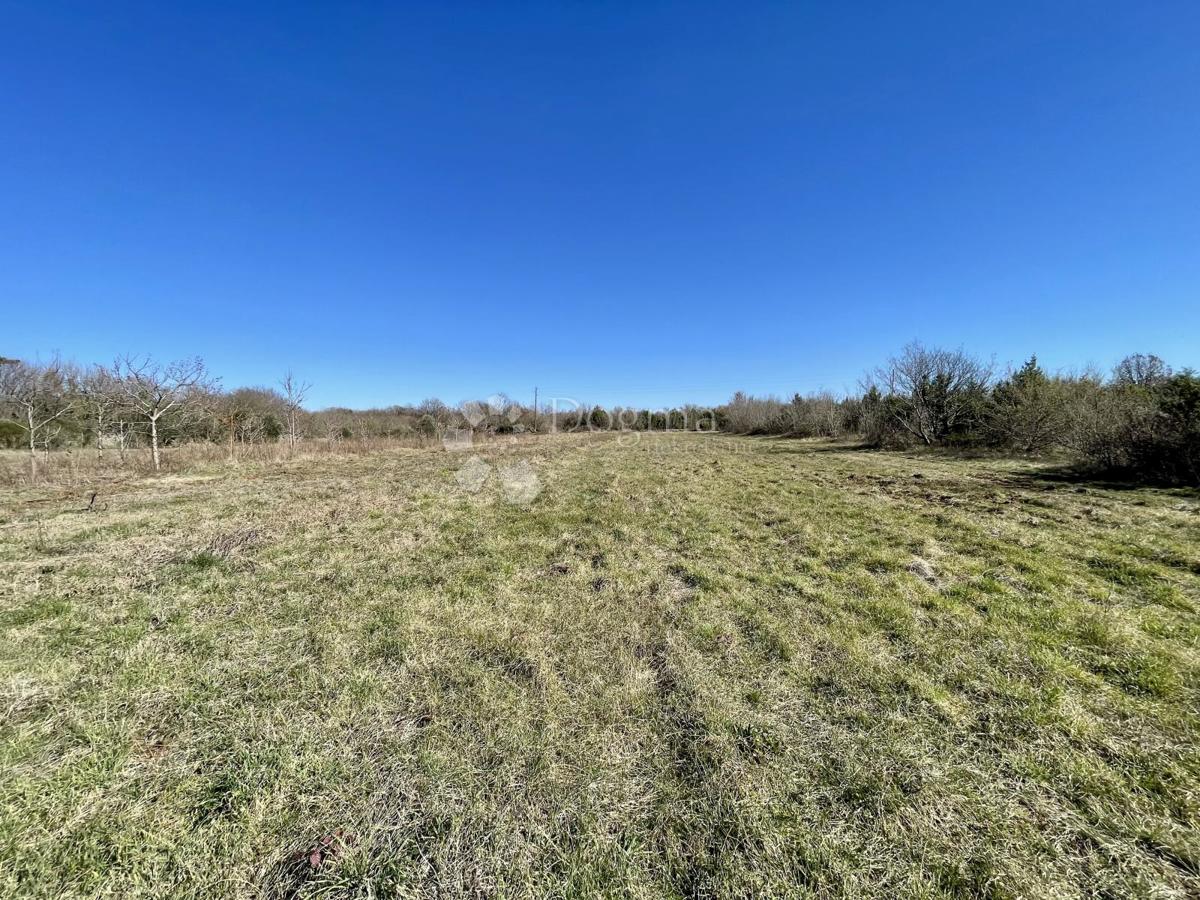 Terreno agricolo Juršići, Svetvinčenat, 6.672m2