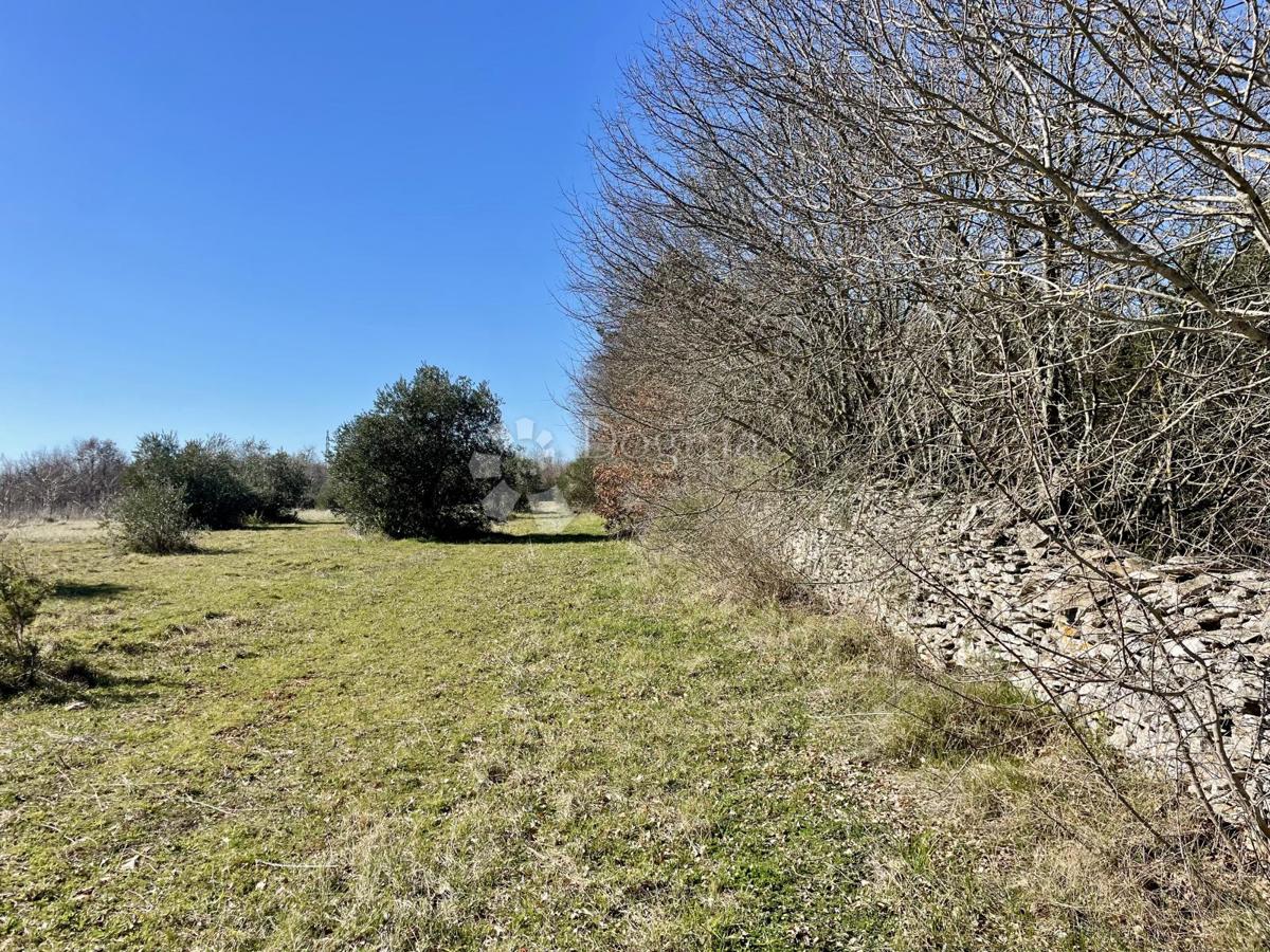 Terreno agricolo Juršići, Svetvinčenat, 6.672m2