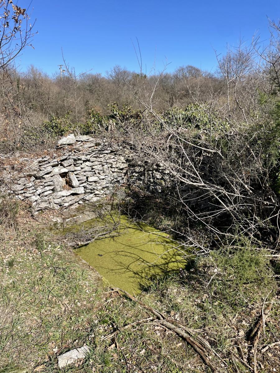 Terreno agricolo Juršići, Svetvinčenat, 6.672m2